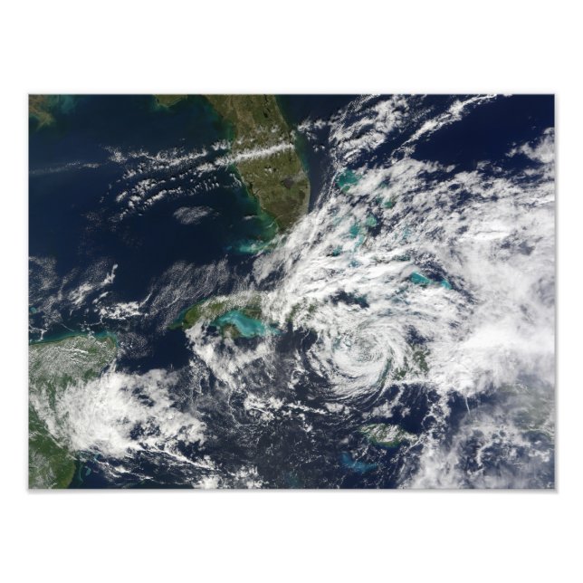 OrkanPaloma Fototryck (Framsidan)