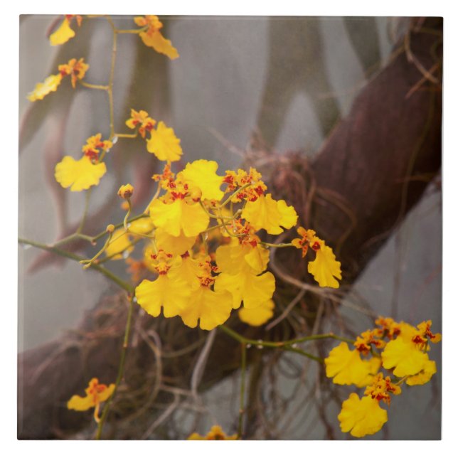 Orkid - Gyllene morgon Kakelplatta (Framsidan)