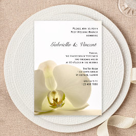 Orkidblomma på vit postbröllopsbrunch inbjudningar