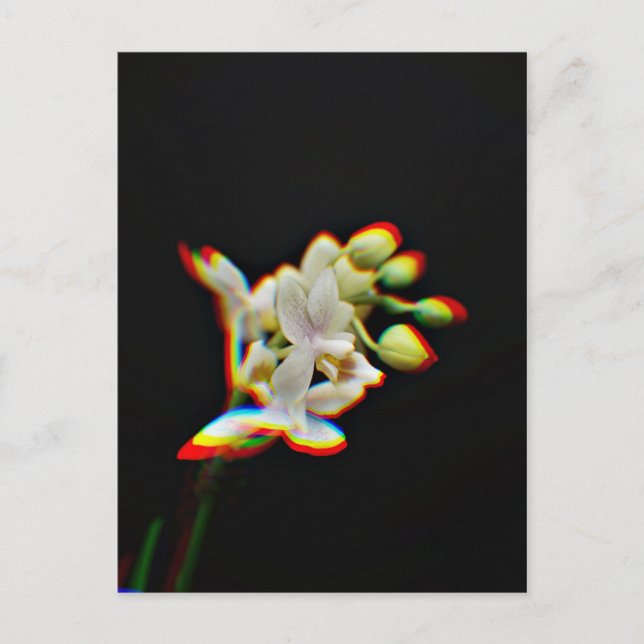 Orkidé Blommar Glödeffekt Vykort (Framsida)