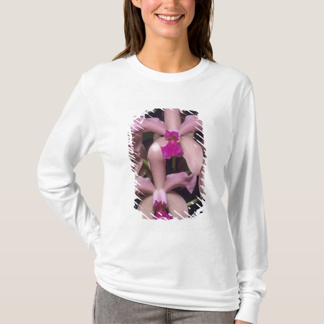Orkidé, (Cattleya amethystoglossa), Östra T Shirt (Framsida)