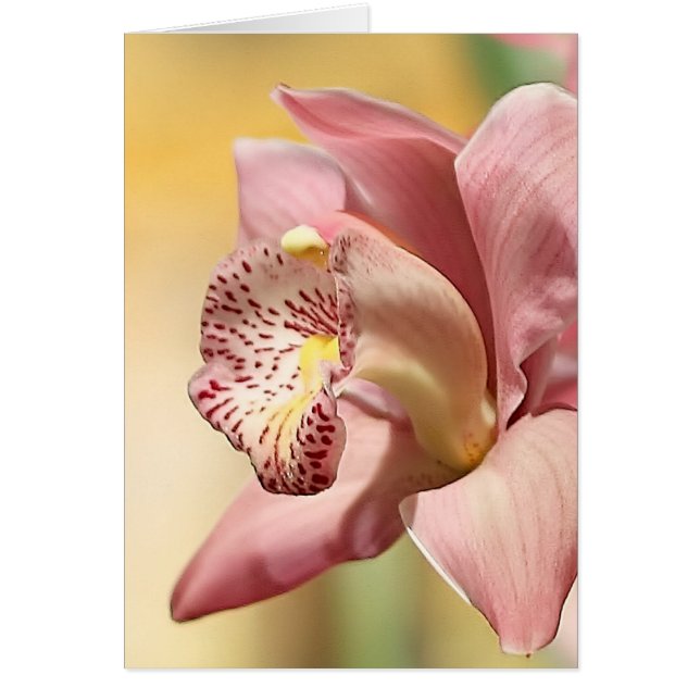 Orkidé Enkel Rosa Blomning Glad Påsk Hälsningskort (Framsidan)