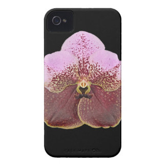 Orkidé mobilskal, iPhone 4 Case-Mate Case