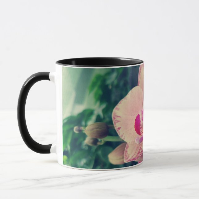 Orkidé phalaenopsis ppolka prickiga rosa blommor b mugg (Vänster)