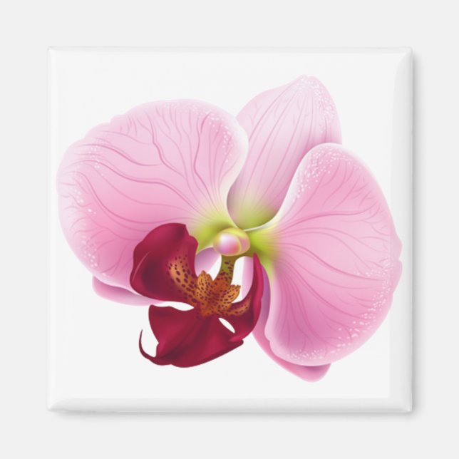 orkidéblomma magnet (Framsidan)