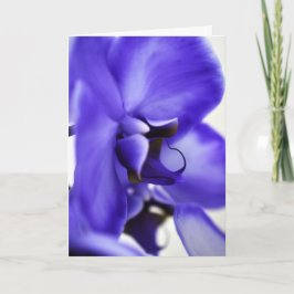 Orkidéblommande blomfotografering, 5x7 vykort