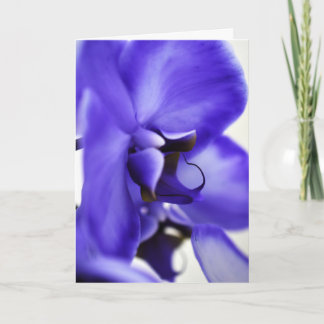 Orkidéblommande blomfotografering, 5x7 vykort
