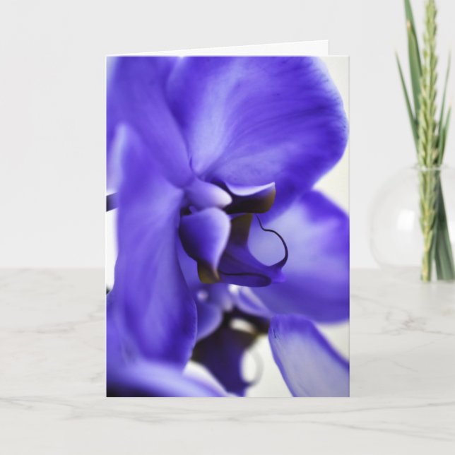 Orkidéblommande blomfotografering, 5x7 vykort (Framsida)
