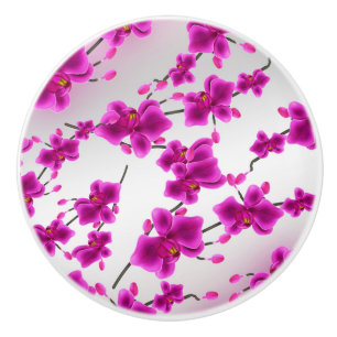 Orkidéblommor Elegant blomster Knopp