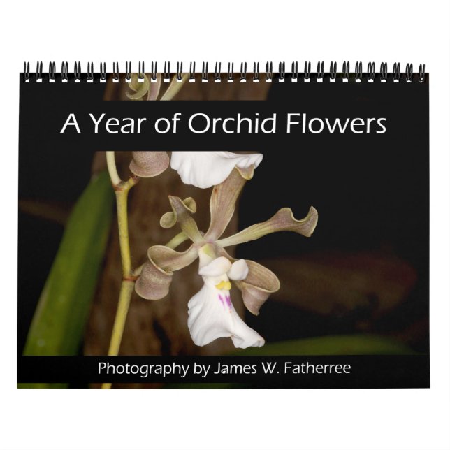 Orkidéblommor Väggkalender av J. Fatherree Kalender (Omslag)