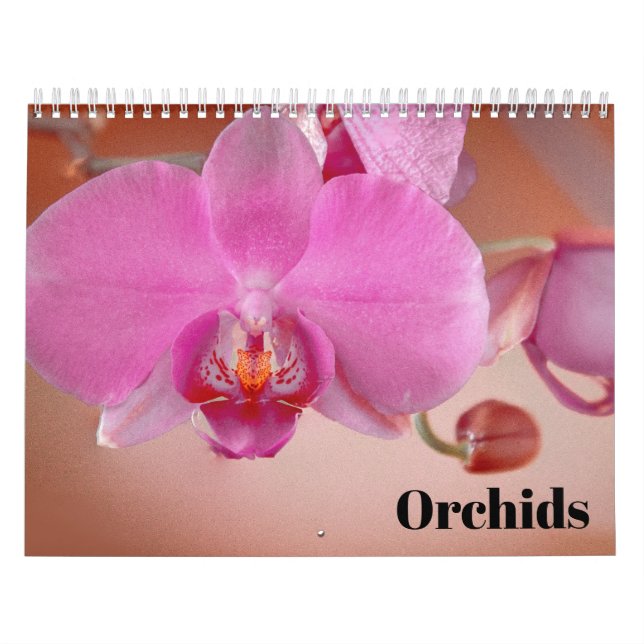 Orkidéer 2025 kalender (Omslag)