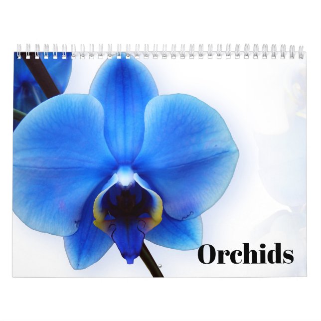 Orkidéer 2027 kalender (Omslag)