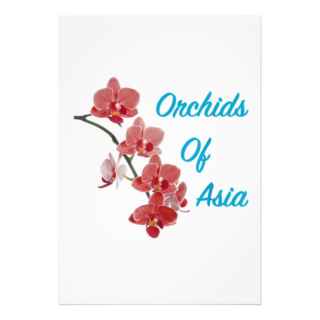 Orkidéer Asiens Dagspa Fototryck (Framsidan)