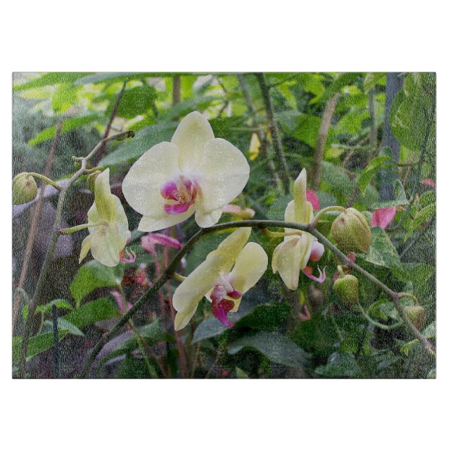 Orkidéer för Gult av glasskärskivor (Framsidan)