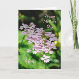 Orkidéer Mors dag Kort