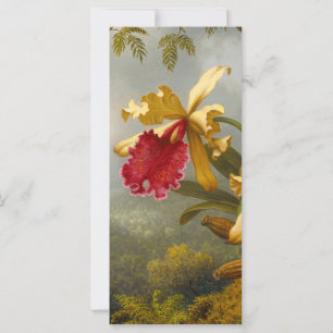 Orkidéer och Hummingbird Heade Card