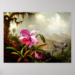 Orkidéer och Hummingbird nära bergen Sjö Poster