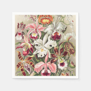 Orkidéer, Orchideae Denusblumen av Ernst Haeckel Pappersservett
