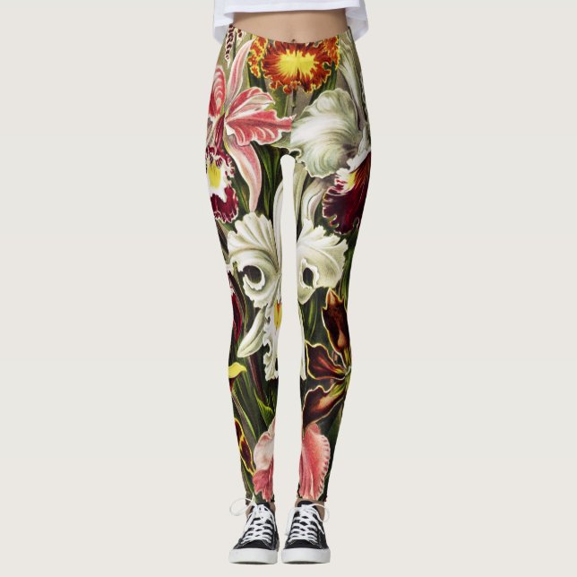Orkidéer, Orchideae Denusblumen Ernst Haeckel  Leggings (Framsida)