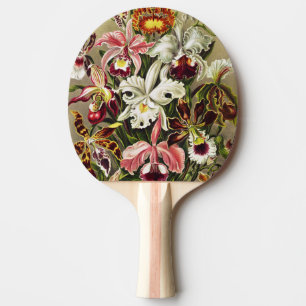 Orkidéer, Orchideae Denusblumen Ernst Haeckel  Pingisracket