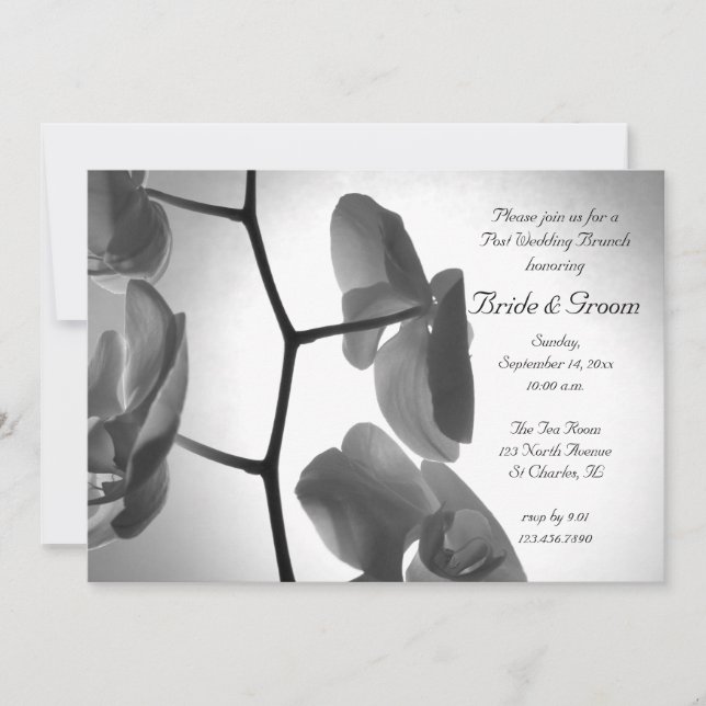 Orkidéer på stjälk Post Bröllopsbrunch Inbjudan (Framsida)