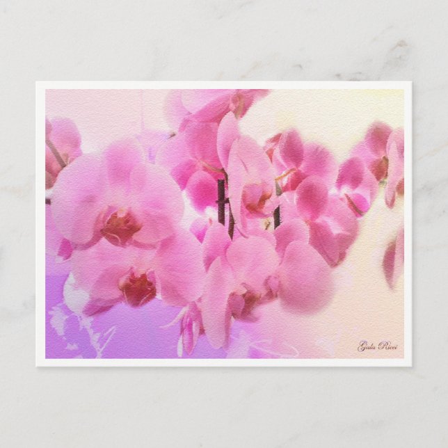 orkidéer vykort (Framsida)