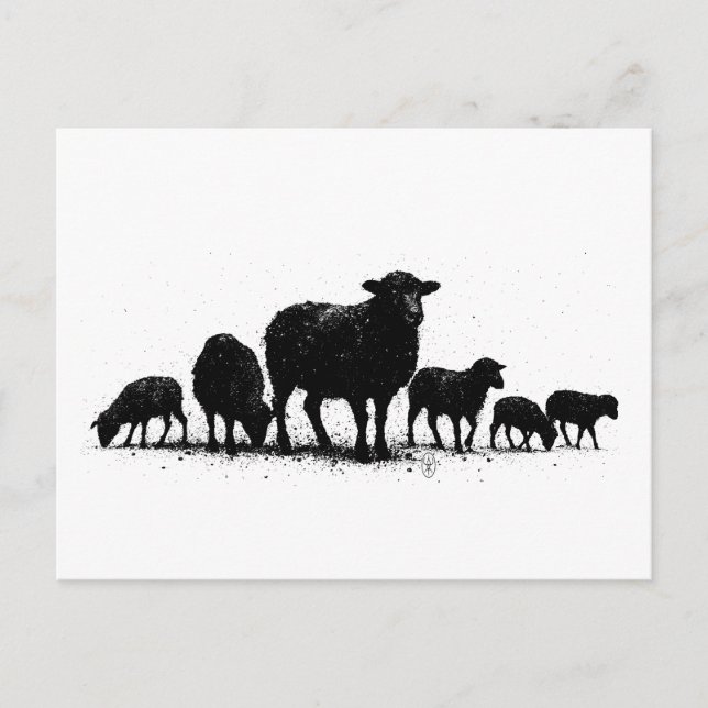 Orkneyfår — flock i bläcksilhuett vykort (Framsida)