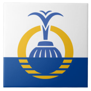 Orlando City flagga Kakelplatta