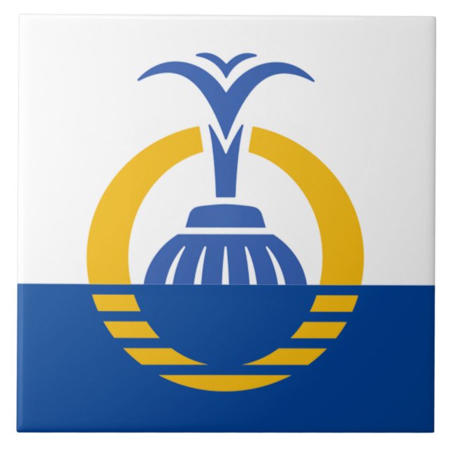 Orlando City flagga Kakelplatta (Framsidan)