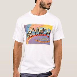 Orlando Florida FL gammal vintage resorsouvenir Tee Shirt
