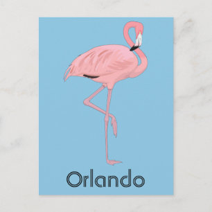 Orlando Florida Rosa Flamingo Vykort