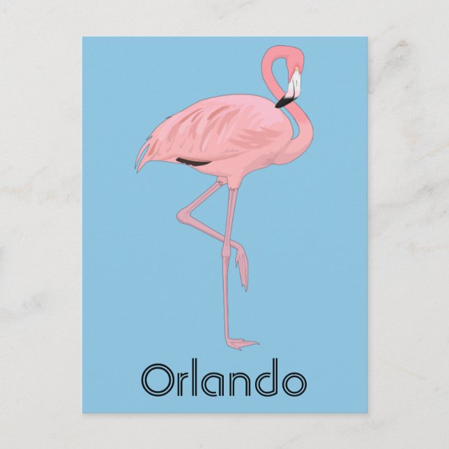 Orlando Florida Rosa Flamingo Vykort (Framsida)