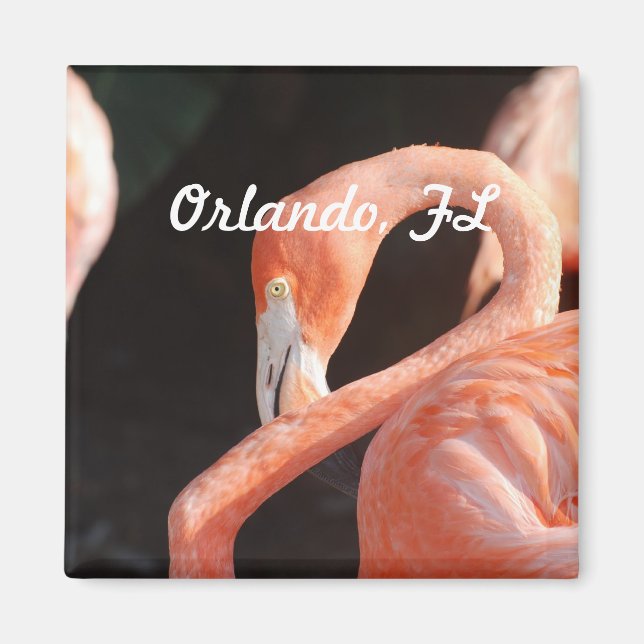 Orlando Magnet (Framsidan)