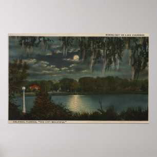 Orlando månbelysta Florida - beskåda av den Poster