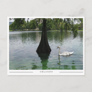 Orlando Swan - Park Lake i Florida Vykort
