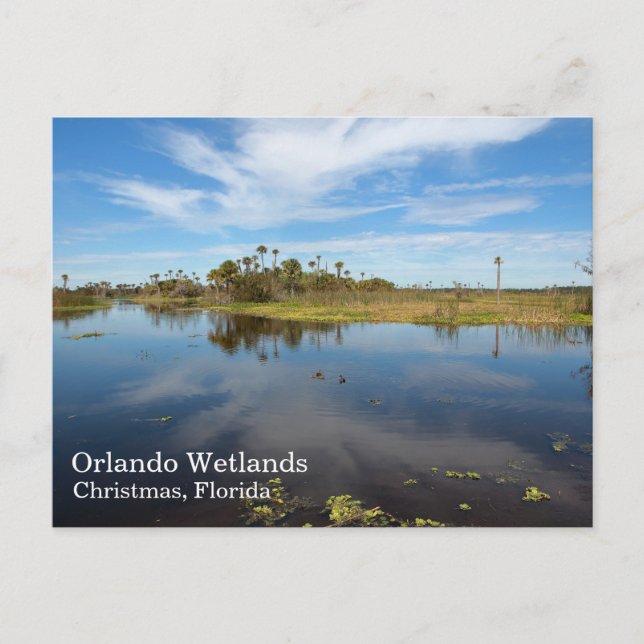 Orlando Wetlands vykort, Christmas, Florida Vykort (Framsida)