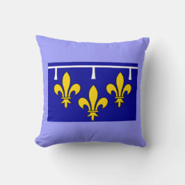 Orleans Frankrike Flag Kuddöverdrag Kudde
