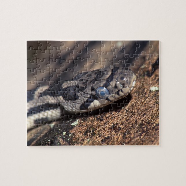 orm pussel (Horisontell)