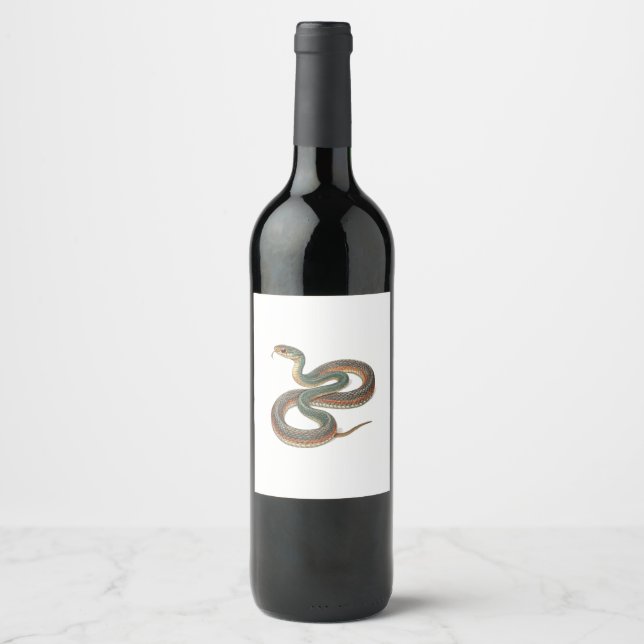 Orm Vinflaska Etikett (Framsida)