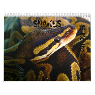 Ormar 16 månader kalender