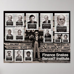 Ormar för finans Banzai7 Poster