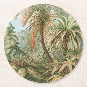 Ormbunkar, Filicinae Laubfarne av Ernst Haeckel Underlägg Papper Rund