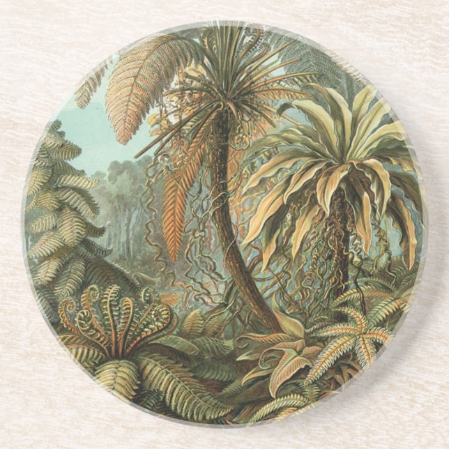 Ormbunkar Palmträd Antik Botanisk Ormbunks Konst Underlägg (Framsidan)