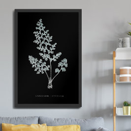 Ormbunke - Gymnogramma Leptophylla - Röntgen-effek Poster