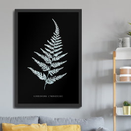 Ormbunke - Gymnogramma L'herminieri. Röntgenstråln Poster