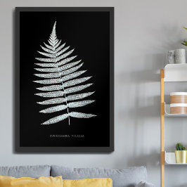 Ormbunke - Gymnogramma Villosa - Röntgenstrålning Poster