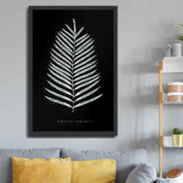 Ormbunke - Polypodyum Henchmanii - Röntgenstrålnin Poster
