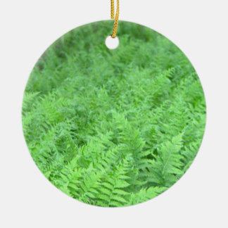 Ormbunks Fotoornament Julgransprydnad Keramik