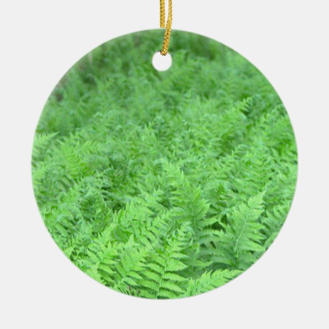 Ormbunks Fotoornament  Julgransprydnad Keramik (Framsidan)