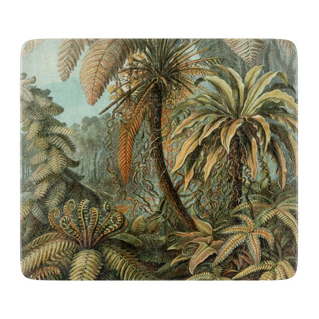 Ormbunks Palmträd Antik Botanisk Ormbunks Konst (Framsidan)